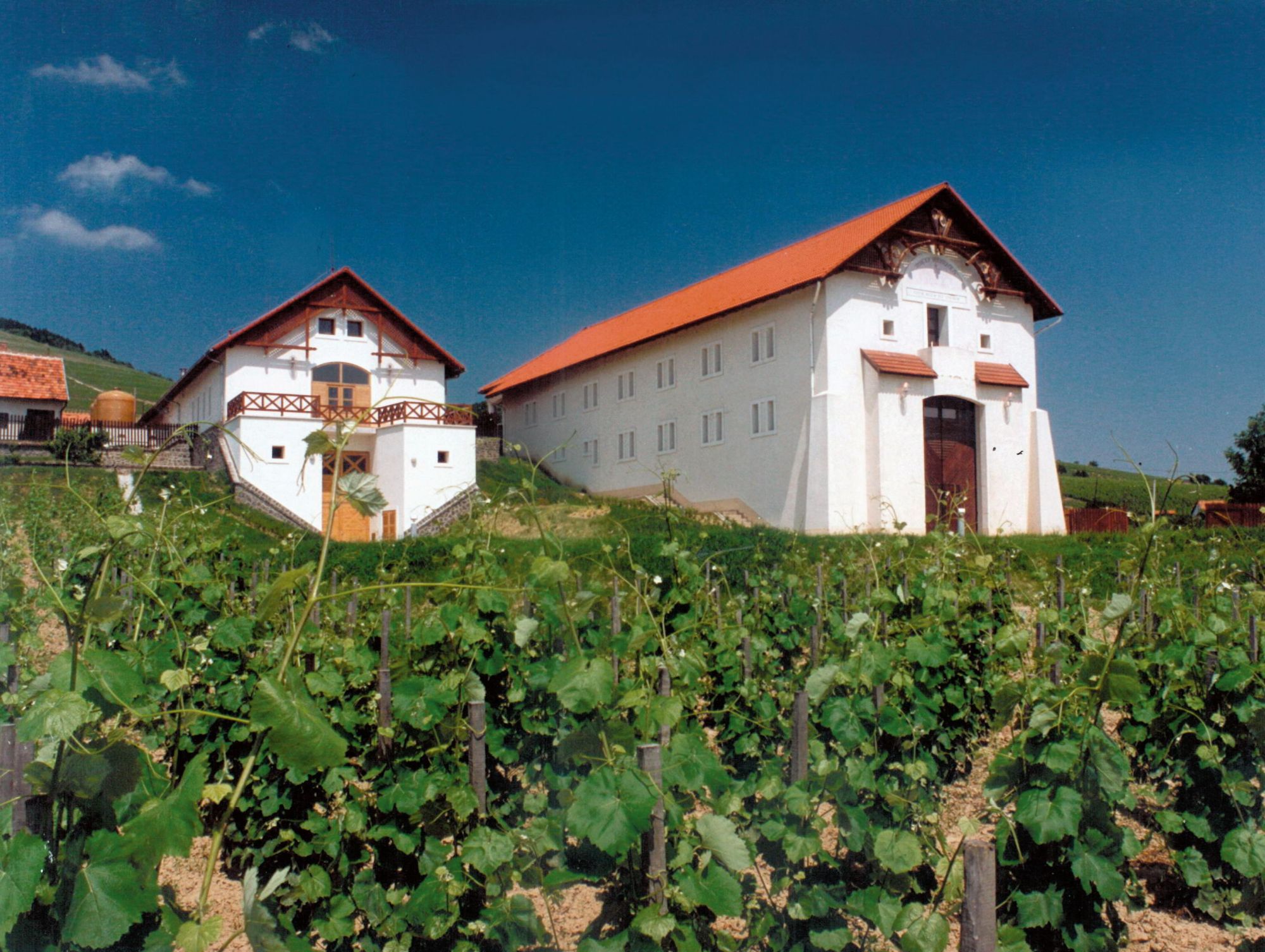 Hétszőlő borászat, Tokaj, 1992 